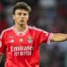 João Neves quebra o silêncio sobre saída do Benfica
