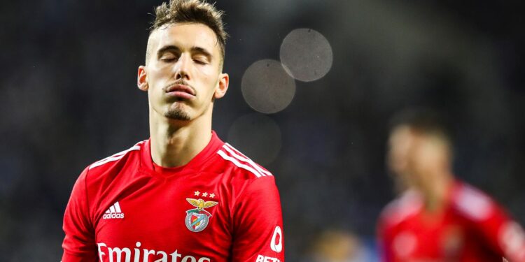 Grimaldo com farpas ao Benfica
