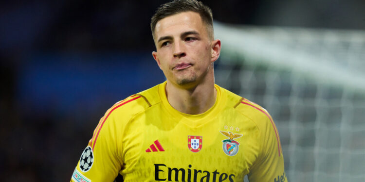 Trubin recomendou três contratações ao Benfica mas valem mais de 100 milhões de euros