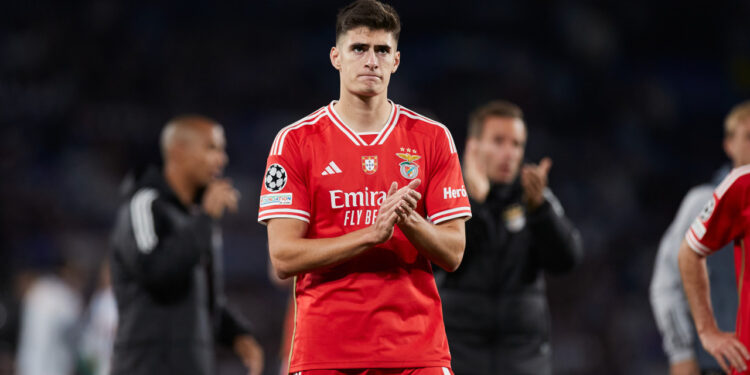 Última hora: Benfica bate o pé ao Manchester United por António Silva