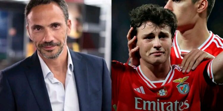 Pedro Ribeiro não perdoa Rui Costa: ‘desnorte, incompetência e falta de coragem’