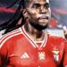 Renato Sanches envolvido no negócio de João Neves e vai reforçar o Benfica