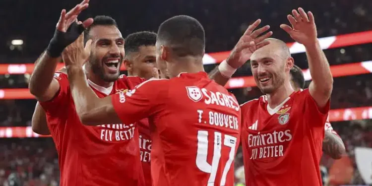 Roger Schmidt diz que águias serão a maior desilusão da Liga dos Campeões