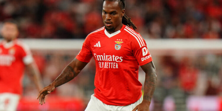 Renato Sanches lesionou-se no treino e está em dúvida para o jogo frente ao Santa Clara
